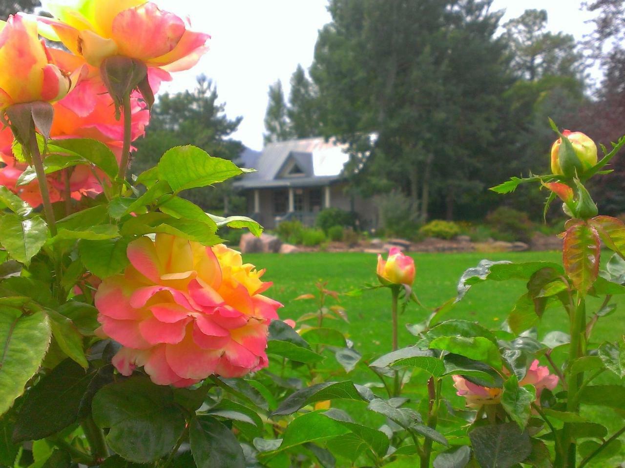 Apple Orchard Inn Hermosa Kültér fotó